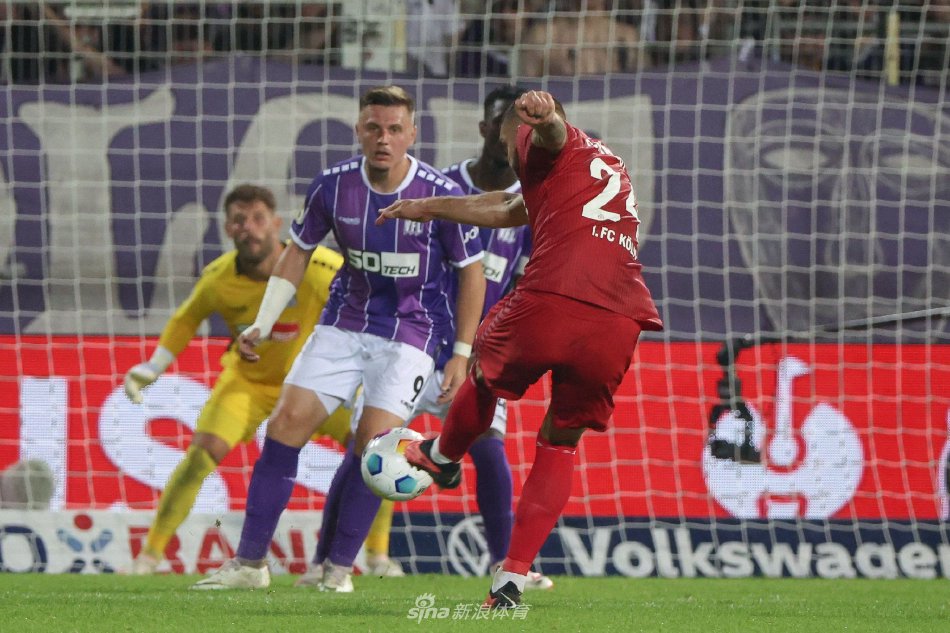 却难以形成 却难以形成